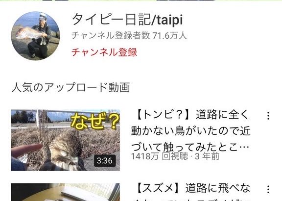 捨て猫拾ってきた系YouTuberさん「もうこのチャンネルでは動画投稿できなくなりました・・・」 広告剥がされ完全終了WWWWWWWWWWWWWWW（画像あり）