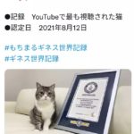 「猫のもちまる日記」が YouTubeで最も視聴された猫 としてギネスに認定される！