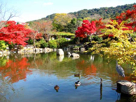 プライドはあってもお金は無い京都市「円山公園」を民間委託へ