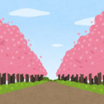 韓国さん「日本の桜を抜いて、済州の王桜を植えよう」キャンペーンを始めるらしいｗｗｗｗｗｗｗ