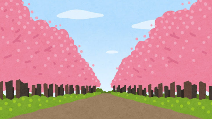 韓国さん「日本の桜を抜いて、済州の王桜を植えよう」キャンペーンを始めるらしいｗｗｗｗｗｗｗ