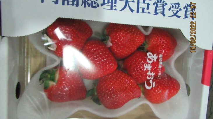 【悲報】親日国・台湾さん、日本が誇るイチゴ「あまおう」を「基準値を上回る残留農薬」が検出され検査不合格に・・・　