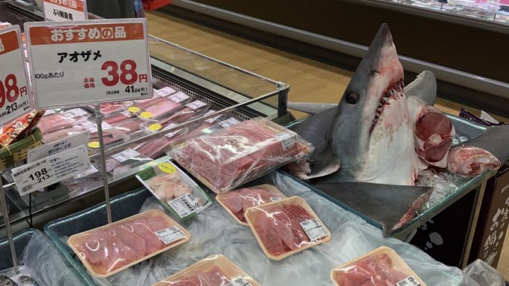 サメの肉って安くて美味しいらしいなｗ