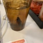 すき家が三重県の店舗で起こった麦茶への「ゴキブリ混入」は事実だったとして謝罪