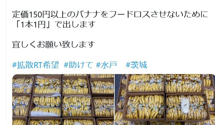 バナナジュース専門店さん「バナナ1本1円なので買ってください・・・。」