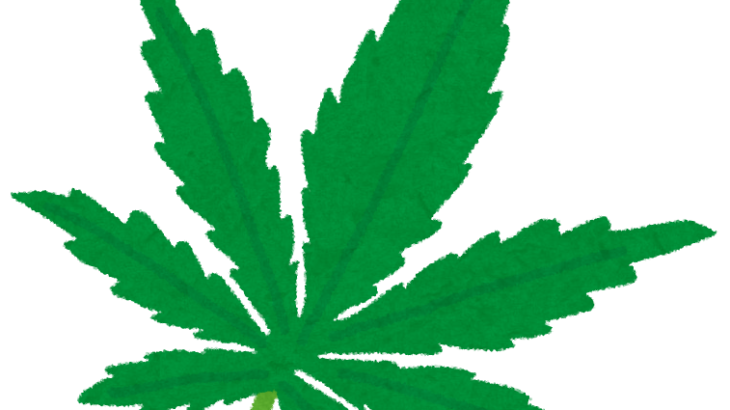 安倍晋三さんに異変「大麻に偏見を持たないで！」