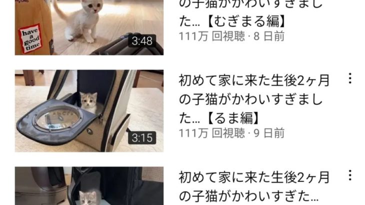 【悲報】YouTube『もちまる日記』が炎上  もちまるの病気発覚後の子猫の登場で「次の猫用意してたんだね・・・。」