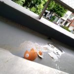 【画像あり】太田光代さんの自宅に投げつけられた生卵の躍動感が辻元清美事務所のそれとは段違いだと話題にｗｗｗｗｗｗｗｗｗ