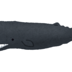 大阪・淀川河口付近に迷い込んだ「マッコウクジラ」が死亡