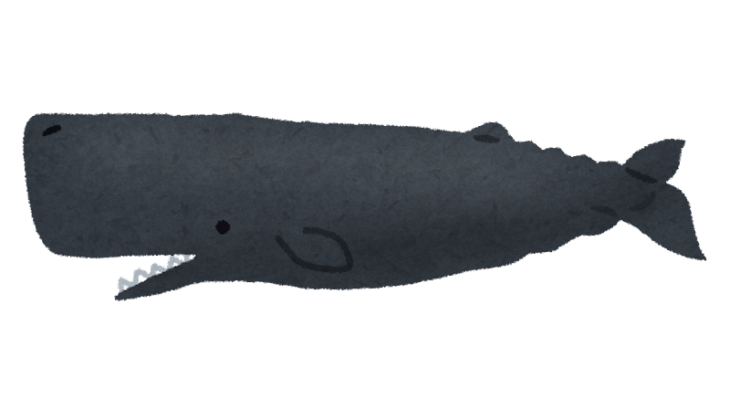 【悲報】淀川で死亡したマッコウクジラ、沖合に沈められることに