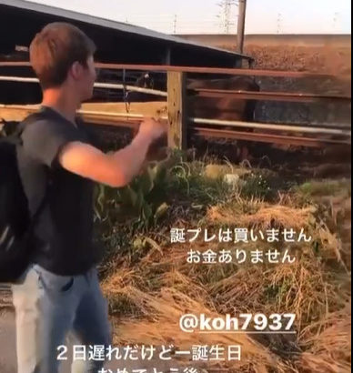 【動画あり】Z世代さん、牛に石を投げつけ虐待する動画をアップしてしまう・・・